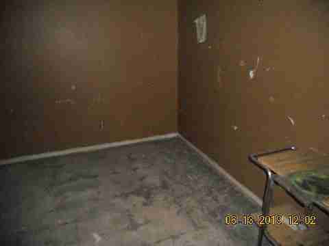 15017 Dolphin (6)_m.jpg